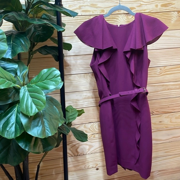 Carolina Herrera Dresses & Skirts - Carolina Herrera New York Like New Dress Purple Ruffles With Belt Like New 6